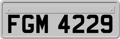 FGM4229