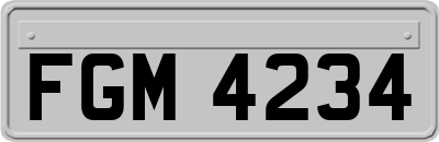FGM4234
