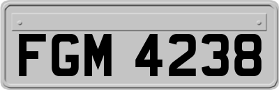 FGM4238
