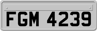 FGM4239