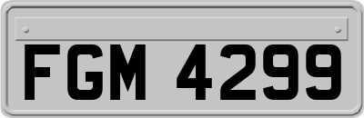 FGM4299