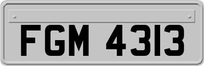 FGM4313