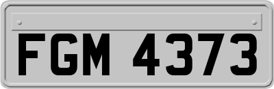 FGM4373
