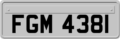 FGM4381