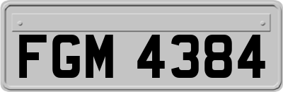 FGM4384