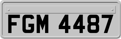 FGM4487