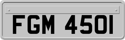 FGM4501