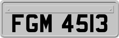 FGM4513