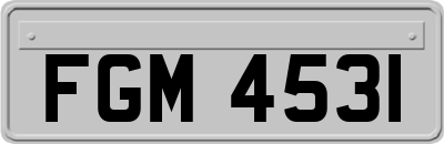 FGM4531