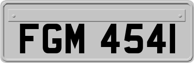 FGM4541
