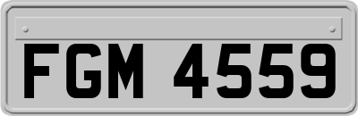 FGM4559