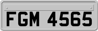 FGM4565