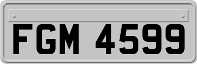 FGM4599