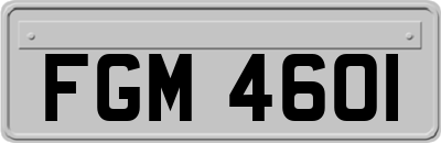 FGM4601