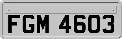 FGM4603