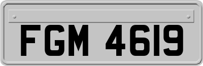 FGM4619