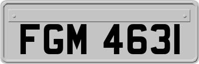 FGM4631