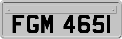 FGM4651