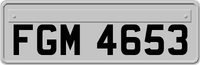 FGM4653