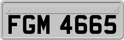 FGM4665