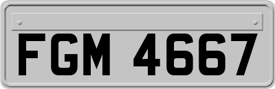 FGM4667
