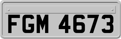 FGM4673