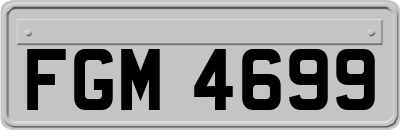 FGM4699
