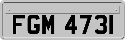 FGM4731