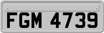 FGM4739