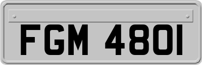 FGM4801