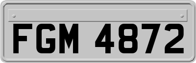 FGM4872