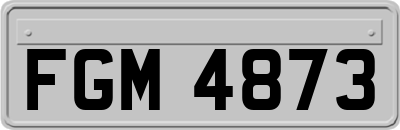 FGM4873