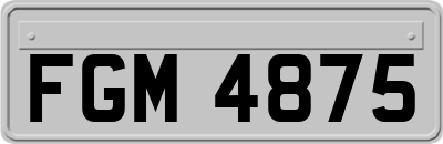 FGM4875