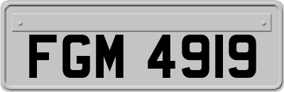 FGM4919