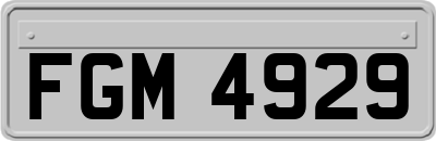 FGM4929