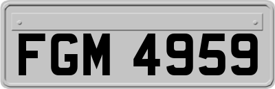 FGM4959