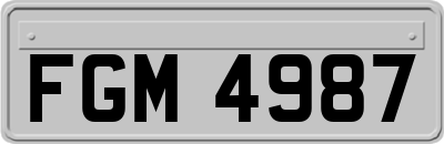 FGM4987