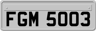 FGM5003