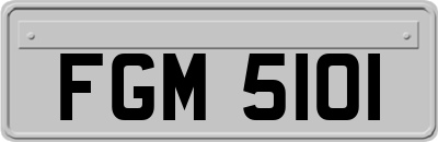 FGM5101