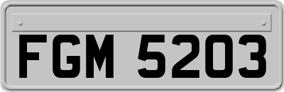 FGM5203