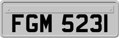 FGM5231