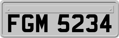 FGM5234
