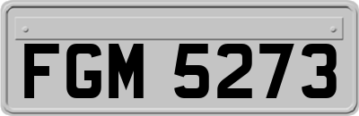 FGM5273