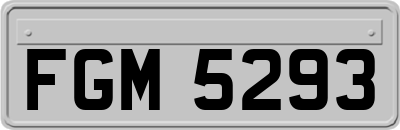 FGM5293