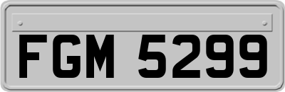 FGM5299