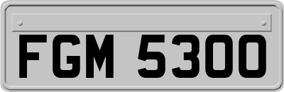 FGM5300