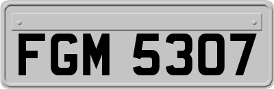 FGM5307