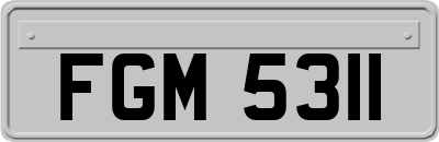 FGM5311