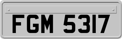 FGM5317