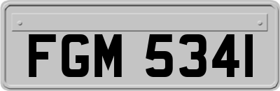 FGM5341